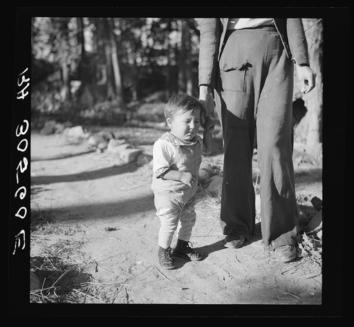Indian baby, son of blueberry picker. Littlefork, Minnesota