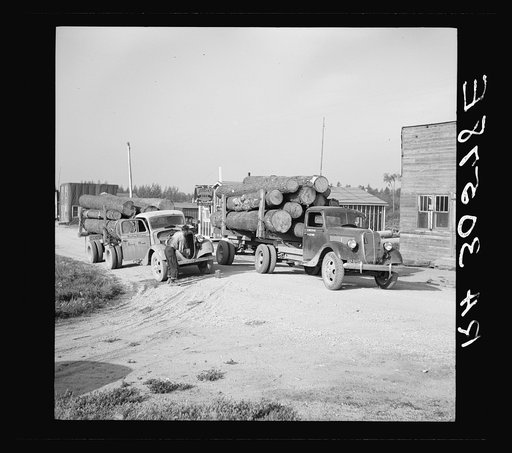 Present method of transporting logs. Craigville, Minnesota
