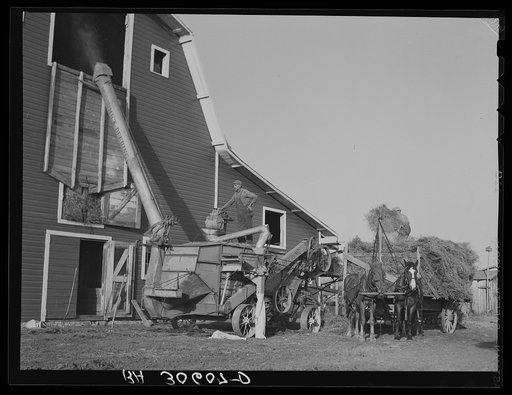 Threshing alfalfa for seed near Littlefork, Minnesota