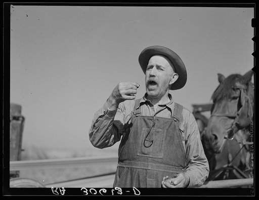 Cut-over farmer taking a pinch of snuff near Littlefork, Minnesota