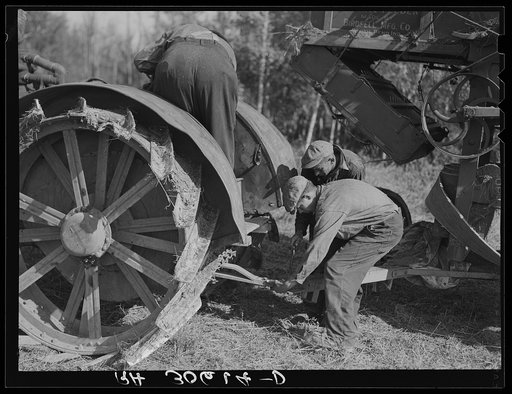 Men hooking threshing to tractor near Littlefork, Minnesota