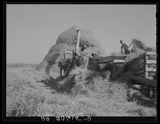 Threshing alfalfa near Littlefork, Minnesota