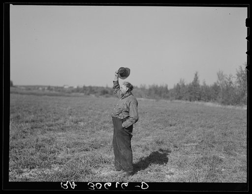 Man in charge of the threshing waving to crew in the field to bring in another load. Near Littlefork, Minnesota