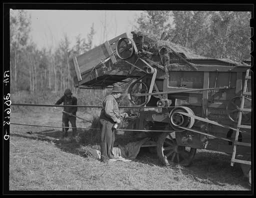 Oiling and greasing threshing machine near Littlefork, Minnesota