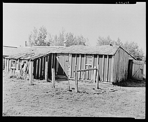 Barn on cut-over farm. Littlefork, Minnesota