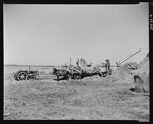 Threshing alfalfa for seed near Littlefork, Minnesota