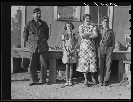 The Edward Chapman family, cut-over land farmers near Northome, Minnesota
