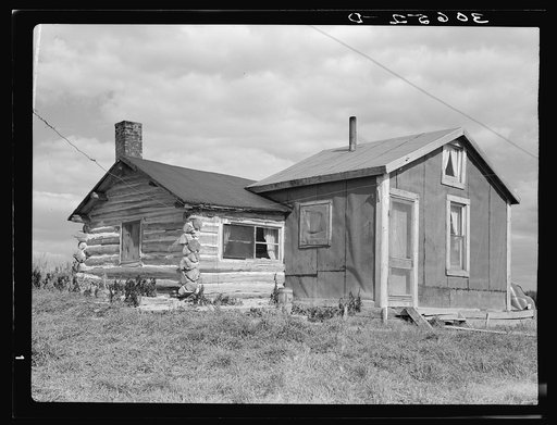 J. W. Panchot's house. The flowers were killed by frost. Near Northome, Minnesota