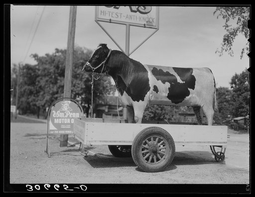 Stuffed bull in front of gas station. Minnesota