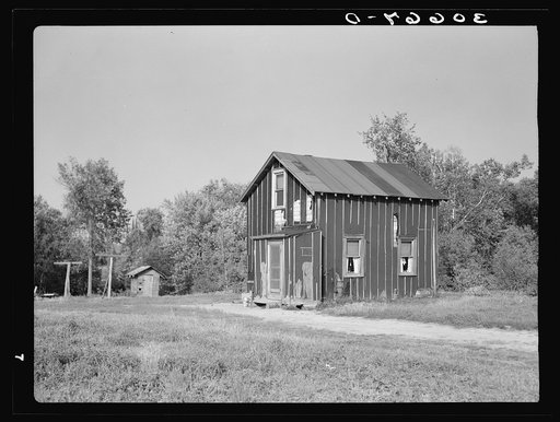 Cut-over farm house near Littlefork, Minnesota