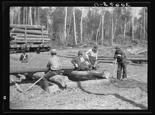 Lumberjacks resting. Camp near Effie, Minnesota