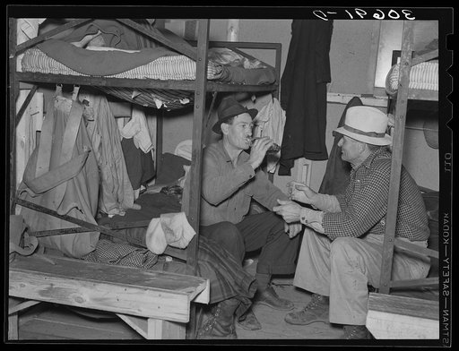 Lumberjacks drinking in bunkhouse near Effie, Minnesota