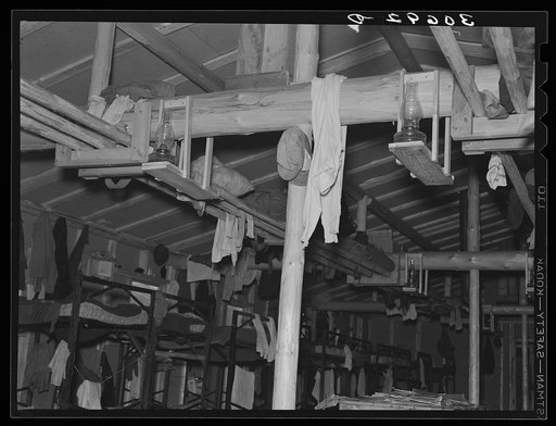 Bunkhouse at logging camp near Effie, Minnesota