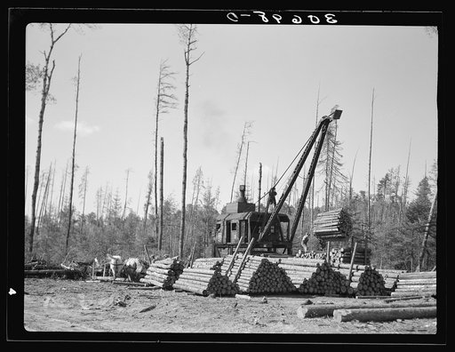 Loading logs onto railroad cars near Effie, Minnesota
