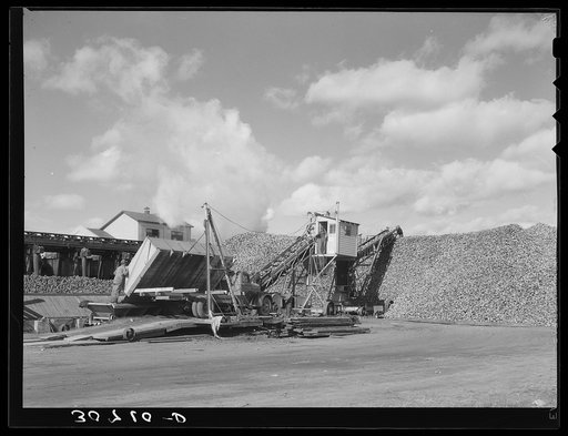 Beet unloading and piling machine. East Grand Forks, Minnesota
