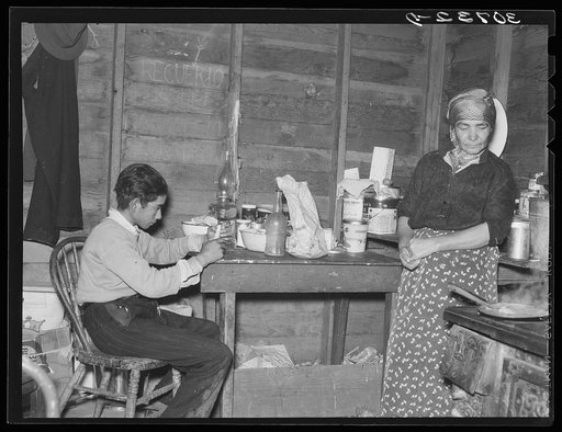 Mother and son in combined, kitchen, living room and bedroom, beet workers near Fisher, Minnesota
