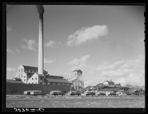 Sugar beet factory with trucks lined up waiting to be unloaded. East Grand Forks, Minnesota
