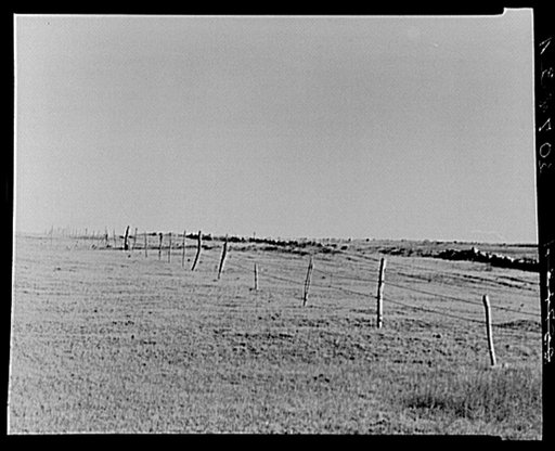 Barbed wire fence. Williams County, North Dakota