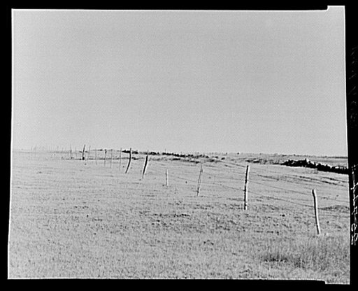Barbed wire fence. Williams County, North Dakota