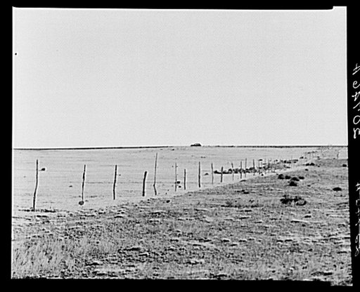 Scene. Williams County, North Dakota