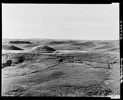 Treeless country. Williams County, North Dakota