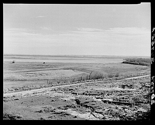 Meadows, trees and hills. McKenzie County, North Dakota