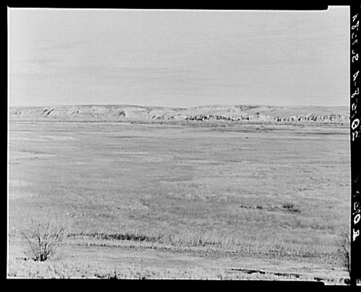 Grass. McKenzie County, North Dakota