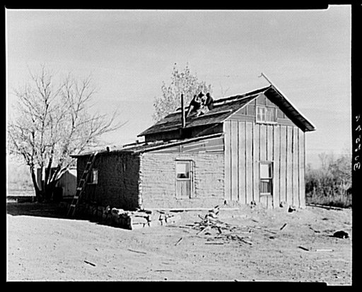 Farmer and wife shingling roof of farmhouse. Old roof was of earth. They had to wait five years before they could get shingles to correct the leaking roof. Williams County, North Dakota