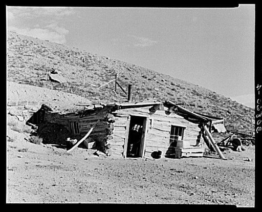 Detail of construction of mud and log house homesteader's house. Williams County, North Dakota