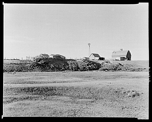 Farmstead, Sheridan County, Montana, with manure pile in the coulee. This is rather common practice. Manure is not usually returned to the soil