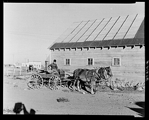 William Hunter in his buckboard. Antelope, Montana