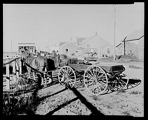 Buckboard and horses owned by William Hunter. Antelope, Montana