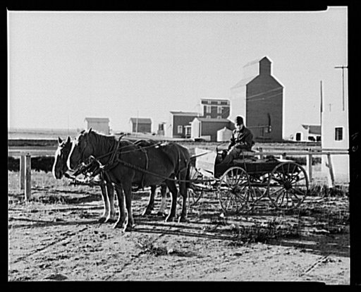 William Hunter in his buckboard. Antelope, Montana