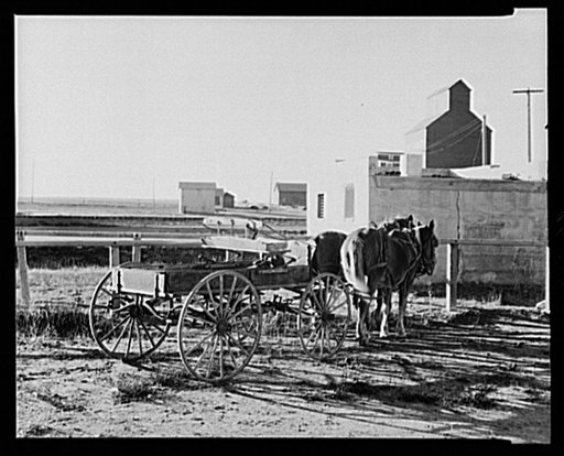 Buckboard and horses owned by William Hunter. Antelope, Montana