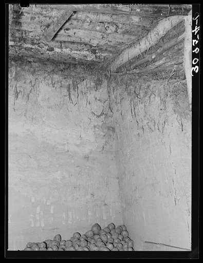 Detail of root cellar of Elmer Thompson. Sheridan County, Montana
