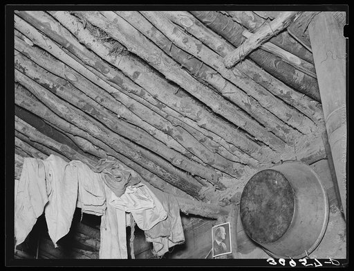 Construction of roof of Elmer Thompson's shack. Sheridan County, Montana