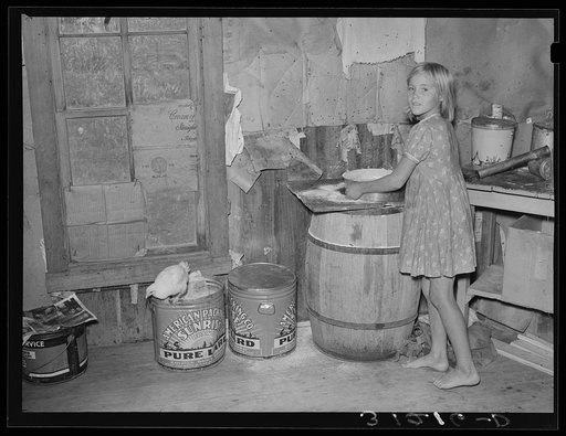Southeast Missouri Farms. Sharecropper's daughter and chicken in kitchen of shack home