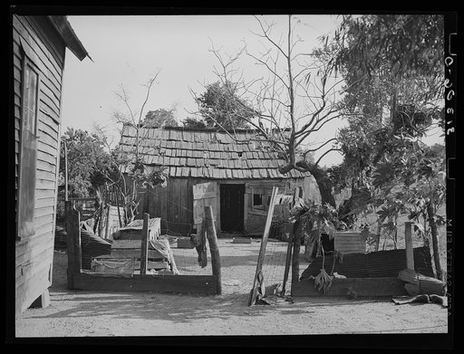 Untitled photo, possibly related to: Backyard of sharecropper's home. He will participate under tenant purchase program. Near Caruthersville, Missouri