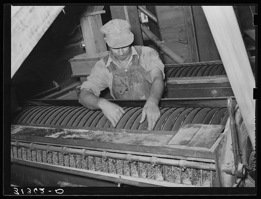 Vibrating screening operation. State rice mill, Crowley, Louisiana