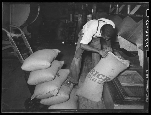 Worker slitting seam on bag of cleaned rice before dumping it in hopper from which packages are filled. State rice mill, Abbeville, Louisiana