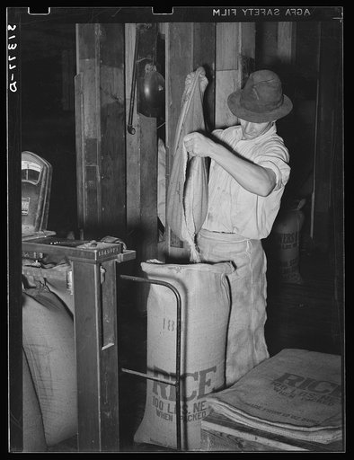 Bringing sack of rice to hundred-pound weight. State rice mill, Crowley, Louisiana