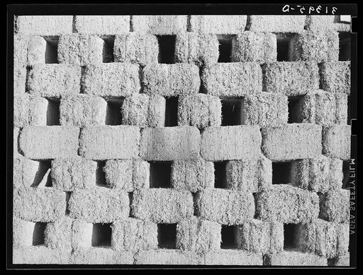 Bagasse. Raceland, Louisiana