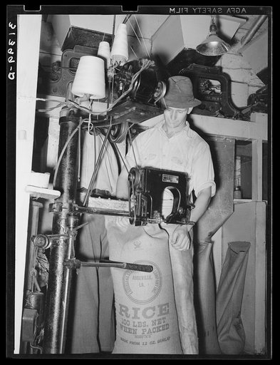 Stitching filled bags of rice. State rice mill, Abbeville, Louisiana