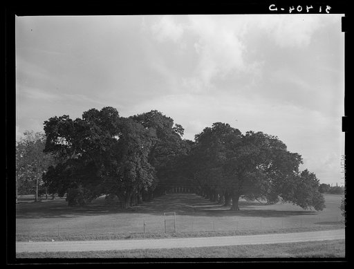 Oak Alley, near Saint James, Louisiana