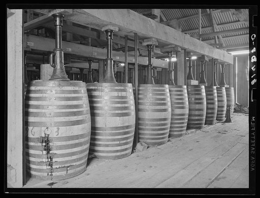 Perique tobacco in process of ageing near Lutcher, Louisiana