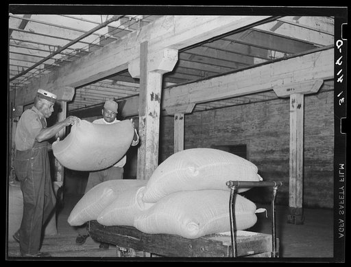Loading sacks of rice onto trucks in warehouse. State rice mill, Crowley, Louisiana