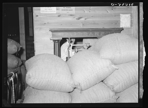 Weighing raw rice. State rice mill, Abbeville, Louisiana