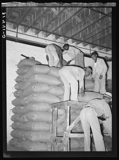 Stacking strawrice. Warehouse, rice mill, Abbeville, Louisiana