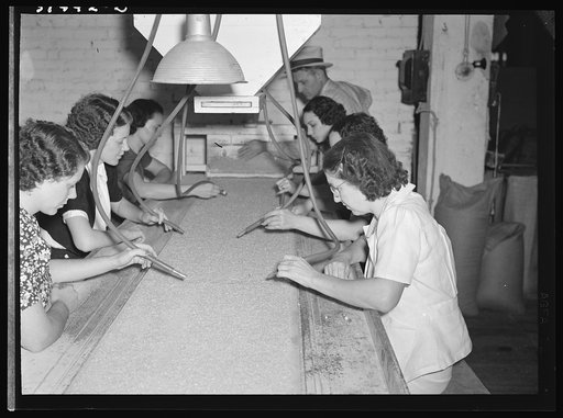 Removing impurities from polished rice before polishing. Vacuum tubes are used in this process. Abbeville, Louisiana