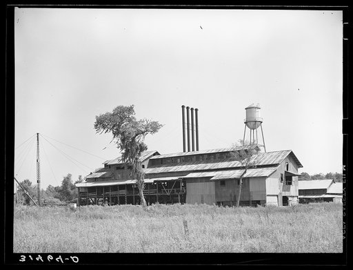 Lumber mill. Sorrento, Louisiana